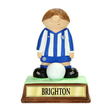 Load image into Gallery viewer, Brighton & Hove Albion FC