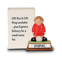 Load image into Gallery viewer, Liverpool FC