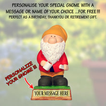 Load image into Gallery viewer, Garden Gnome