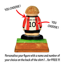 Load image into Gallery viewer, Sheffield United FC