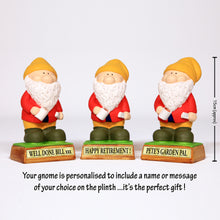Load image into Gallery viewer, Garden Gnome