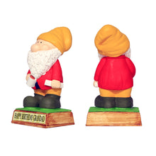 Load image into Gallery viewer, Garden Gnome