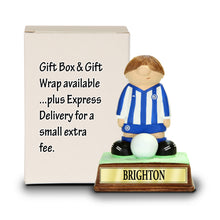 Load image into Gallery viewer, Brighton &amp; Hove Albion FC
