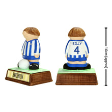 Load image into Gallery viewer, Brighton &amp; Hove Albion FC
