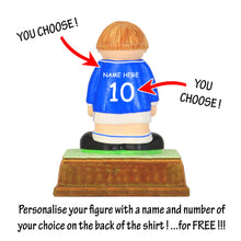 Load image into Gallery viewer, Everton FC
