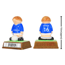 Load image into Gallery viewer, Everton FC

