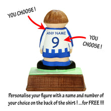 Load image into Gallery viewer, Sheffield Wednesday FC
